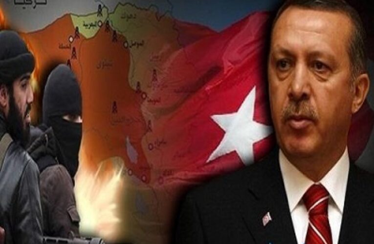 عماد علي : تركيا صاغرة امام الاخرين و قاسية مع الكورد .