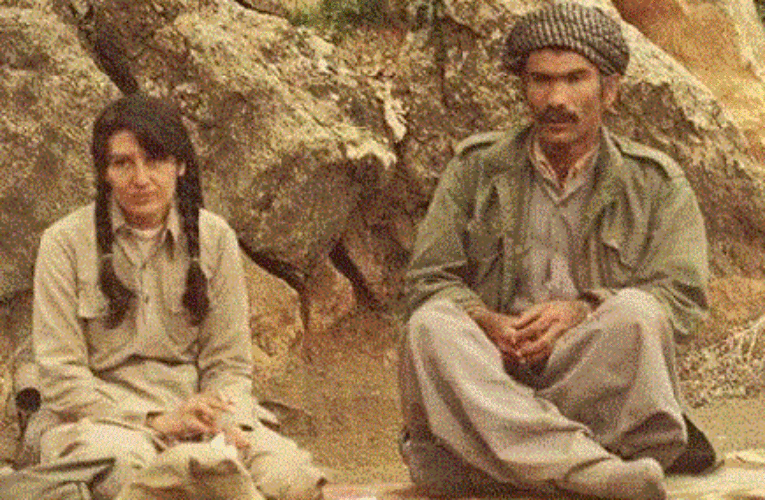 عیماد عه‌لی: نه‌وشیروان موسته‌فا بووه‌ سومبولی چه‌وساوه‌كانی كوردستان.