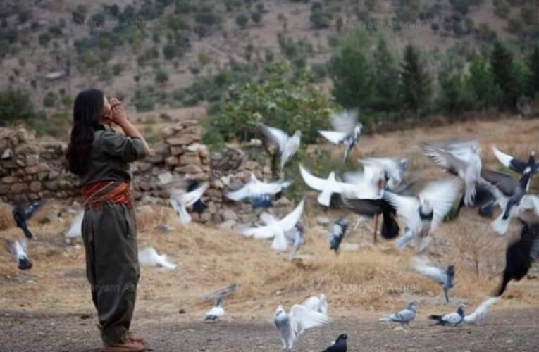 عەبدوڵا کەریم مەحمود: خۆر لە رۆژ ئاواوە هەڵدی.!