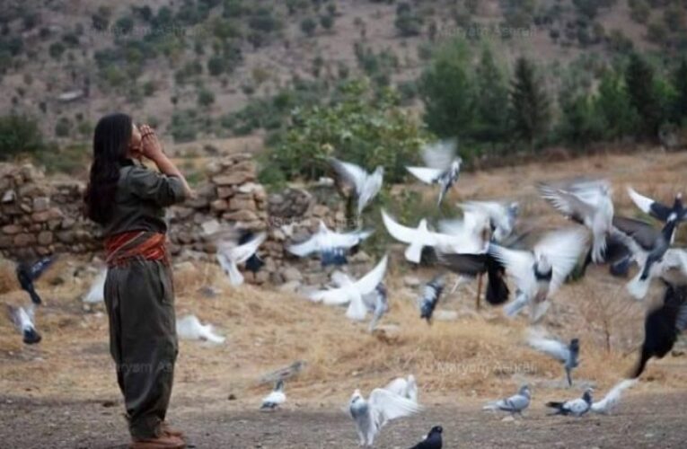 ئازاد ئیبراهیم: گەریلا و لێکەوتەکانی چیای گارا!